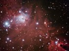 Emissionsnebel NGC 2264 (Weihnachtsbaumsternhaufen) im Sternbild Einhorn