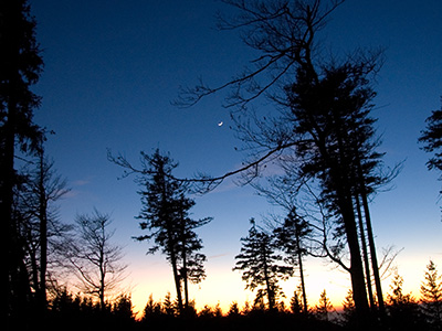 abenddaemmerung mit mond