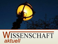 wissenschaft-aktuell-lichtverschmutzung